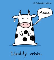 cow-id-crisis